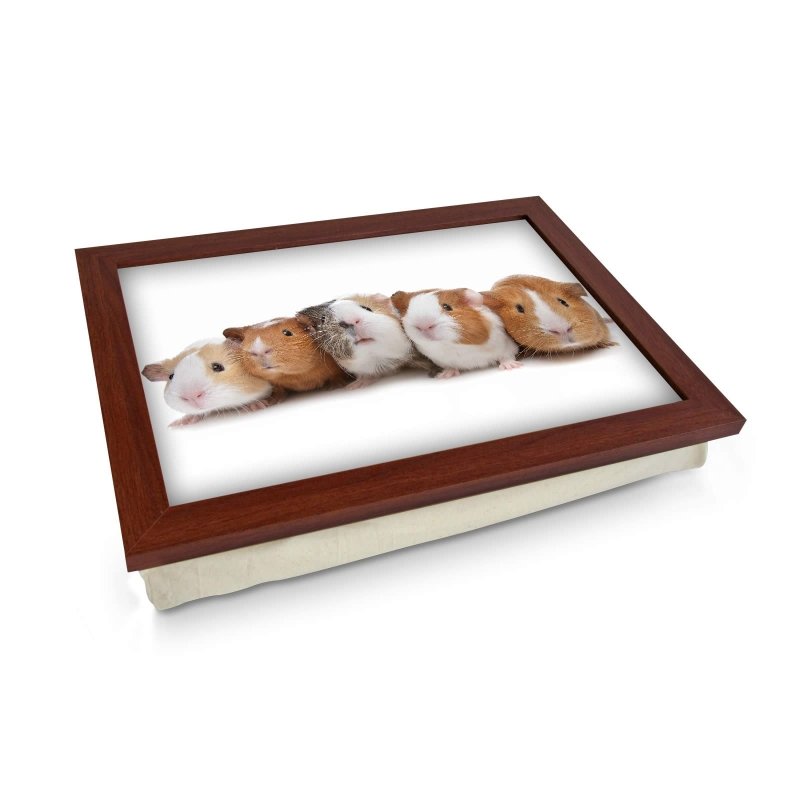 Yoosh Guinea Pigs Lap Tray - L0141 - Kitchen Tools & Gadgets - British D'sire Main image