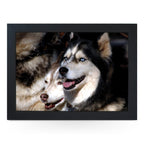 Yoosh Husky Dogs Lap Tray - L0090 - Kitchen Tools & Gadgets - British D'sire