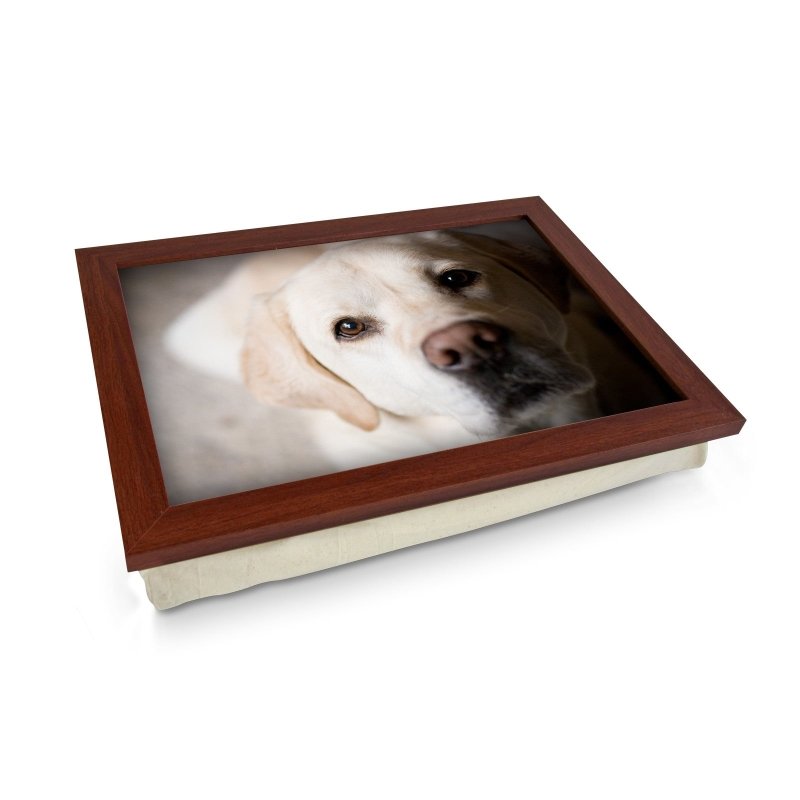 Yoosh Labrador Dog Lap Tray - L0585 - Kitchen Tools & Gadgets - British D'sire Main image