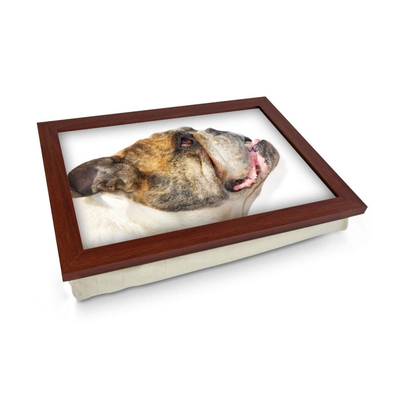 Yoosh Old Bull Dog Lap Tray Secondary image