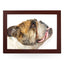 Yoosh Old Bull Dog Lap Tray - Kitchen Tools & Gadgets - British D'sire