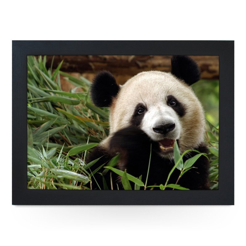 Yoosh Panda Lap Tray - Kitchen Tools & Gadgets - British D'sire