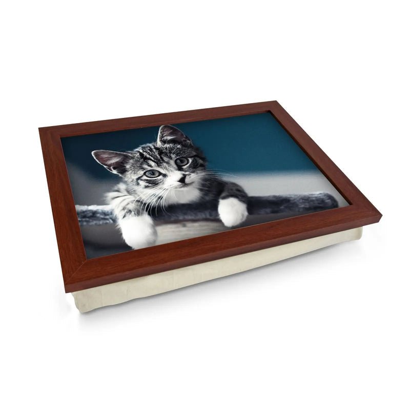 Yoosh Personalised Grey Kitten Playing Lap Tray - Kitchen Tools & Gadgets - British D'sire Main image