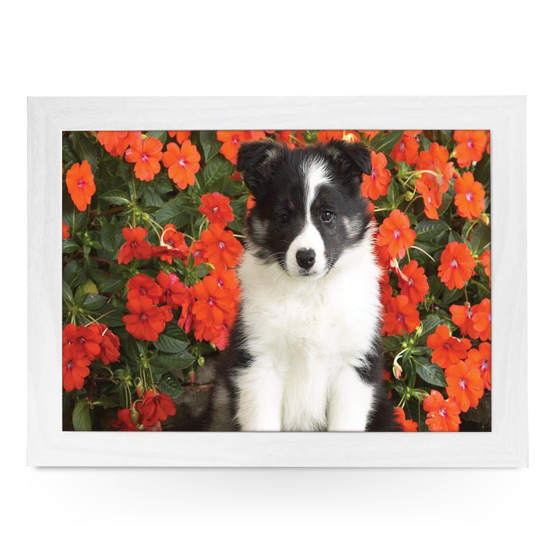 Yoosh Personalize Shetland Sheepdog Puppy Lap Tray - Kitchen Tools & Gadgets - British D'sire Main image