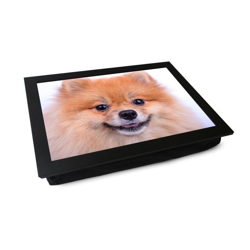 Yoosh Pomeranian Dog Close Up Lap Tray - L0200 Secondary image