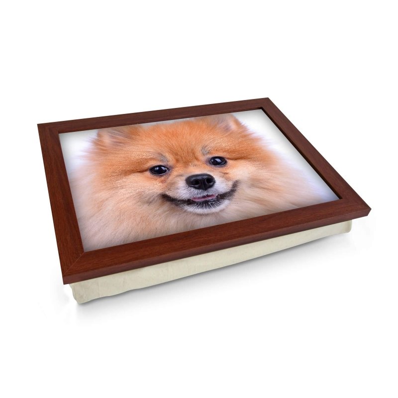 Yoosh Pomeranian Dog Close Up Lap Tray - L0200 - Kitchen Tools & Gadgets - British D'sire Main image