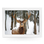 Yoosh Reindeer In The Snow Lap Tray - L0572 - Kitchen Tools & Gadgets - British D'sire