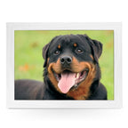 Yoosh Rottweiler Dog Lap Tray -L0733 - Kitchen Tools & Gadgets - British D'sire