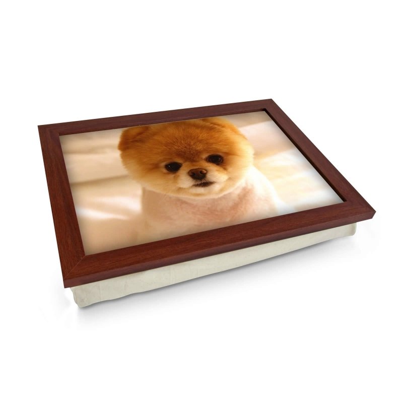 Yoosh Short Haired Pomeranian Dog Lap Tray - Kitchen Tools & Gadgets - British D'sire Main image