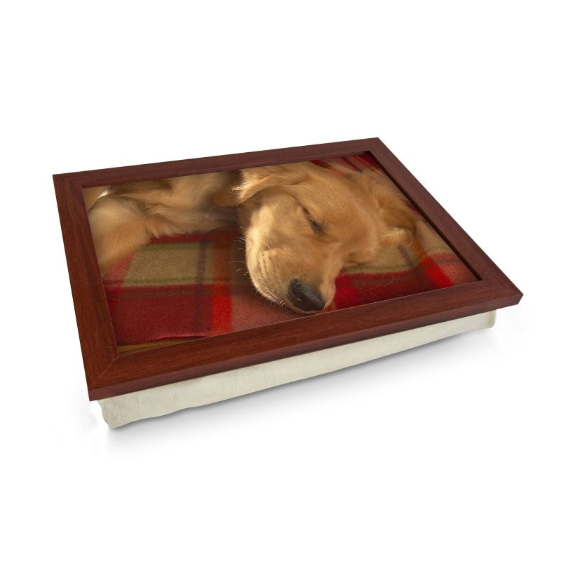 Yoosh Sleeping Golden Retriever Lap Tray - L0041 - Kitchen Tools & Gadgets - British D'sire Main image