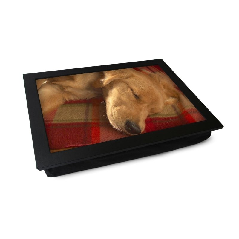 Yoosh Sleeping Golden Retriever Lap Tray - L0041 Secondary image