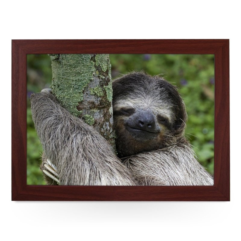 Yoosh Sloth Lap Tray - Kitchen Tools & Gadgets - British D'sire