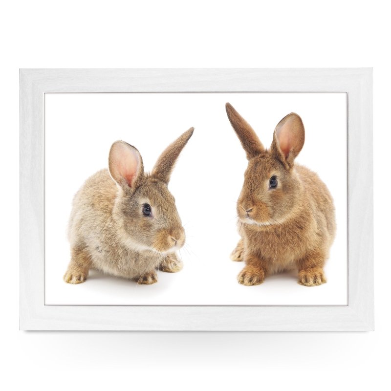 Yoosh Two Cute Bunnies Lap Tray - Kitchen Tools & Gadgets - British D'sire