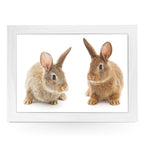 Yoosh Two Cute Bunnies Lap Tray - Kitchen Tools & Gadgets - British D'sire