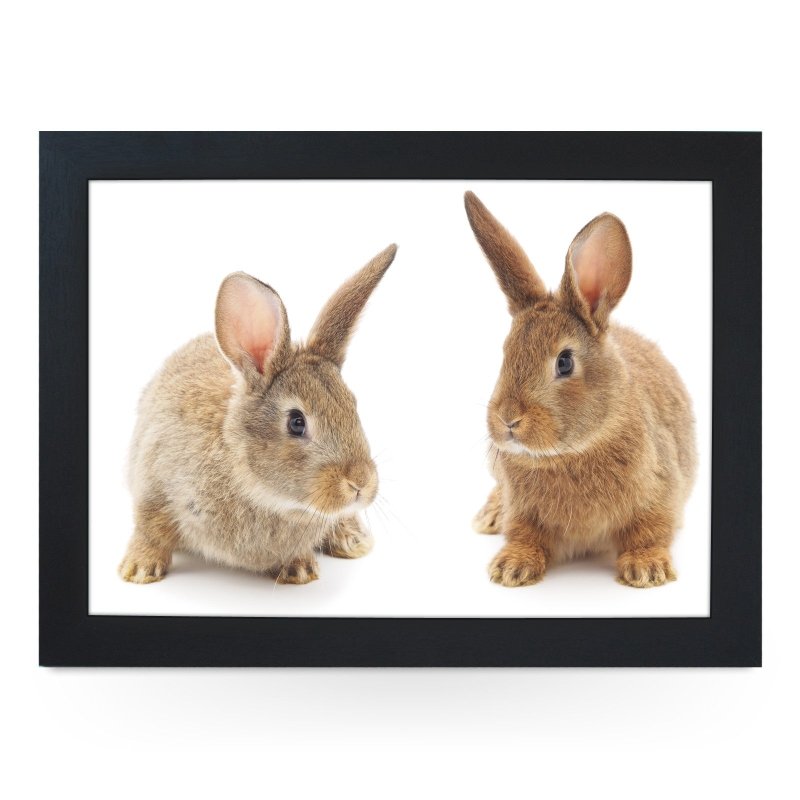 Yoosh Two Cute Bunnies Lap Tray - Kitchen Tools & Gadgets - British D'sire