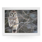 Yoosh White Owl Lap Tray - L0420 - Kitchen Tools & Gadgets - British D'sire