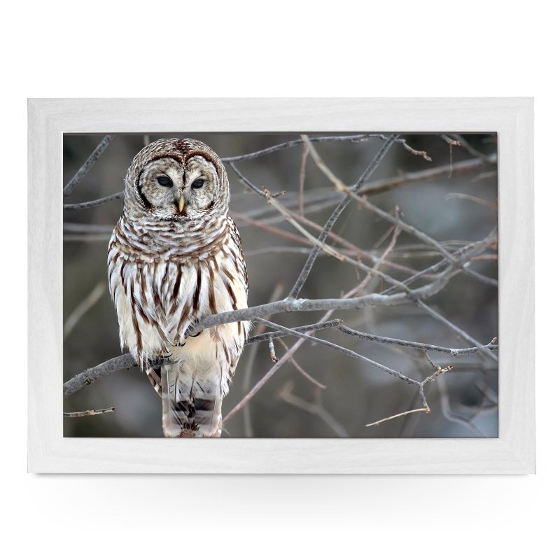 Yoosh White Owl Lap Tray - L0420 - Kitchen Tools & Gadgets - British D'sire