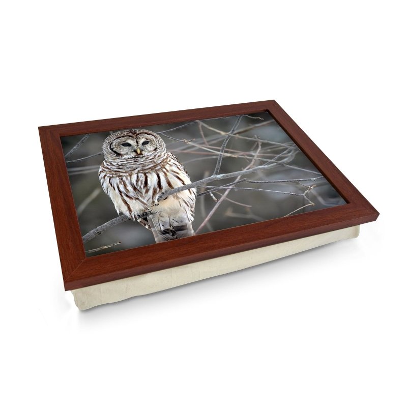 Yoosh White Owl Lap Tray - L0420 - Kitchen Tools & Gadgets - British D'sire