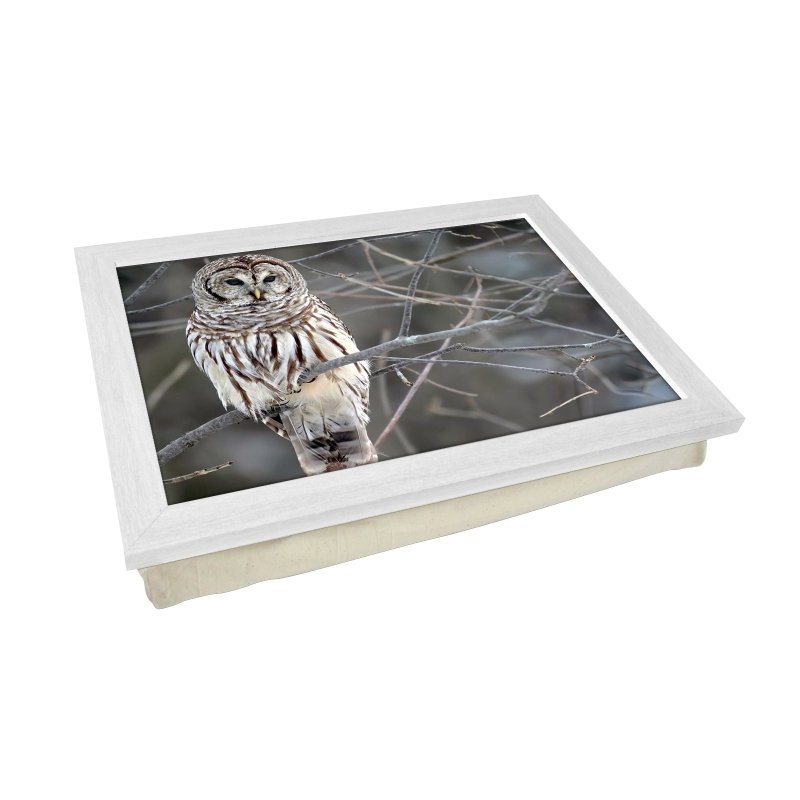 Yoosh White Owl Lap Tray - L0420 - Kitchen Tools & Gadgets - British D'sire