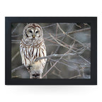 Yoosh White Owl Lap Tray - L0420 - Kitchen Tools & Gadgets - British D'sire