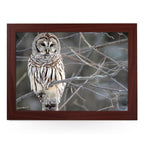 Yoosh White Owl Lap Tray - L0420 - Kitchen Tools & Gadgets - British D'sire