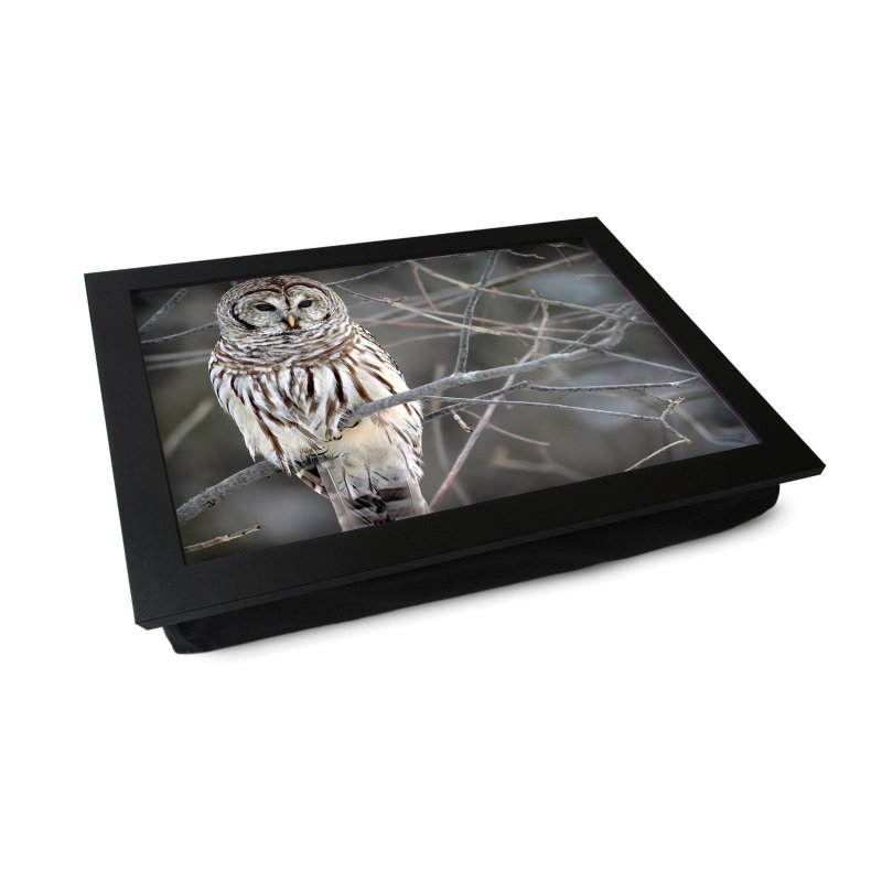 Yoosh White Owl Lap Tray - L0420 - Kitchen Tools & Gadgets - British D'sire