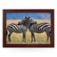 Yoosh Zebra Hugging Lap Tray - L0385 - Kitchen Tools & Gadgets - British D'sire