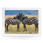 Yoosh Zebra Hugging Lap Tray - L0385 - Kitchen Tools & Gadgets - British D'sire